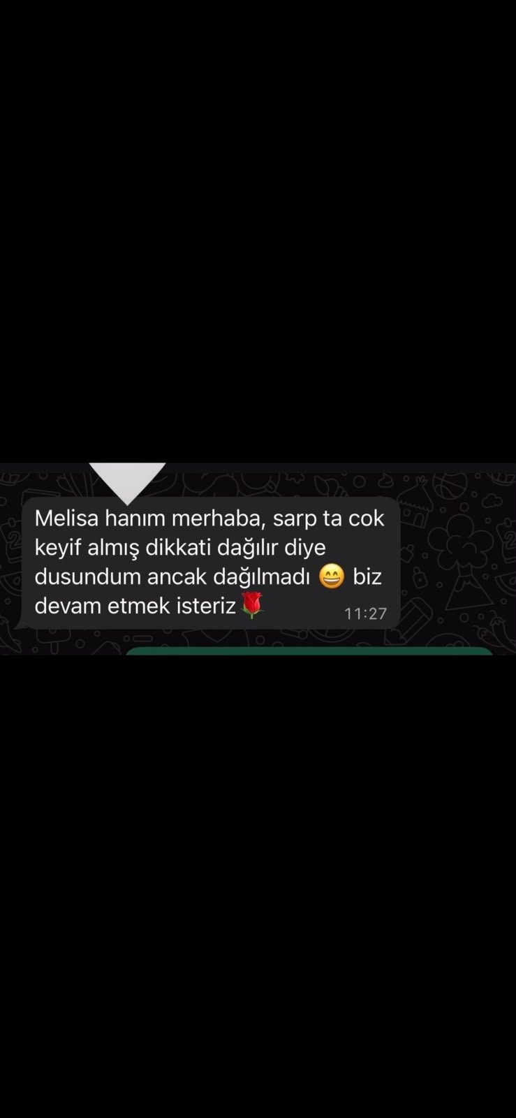 Çınar Veli Yorumu
