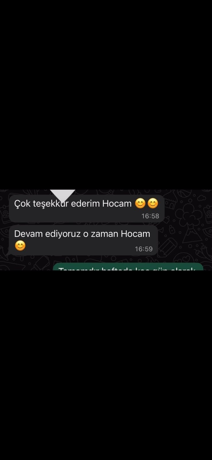 Emek Veli Yorumu